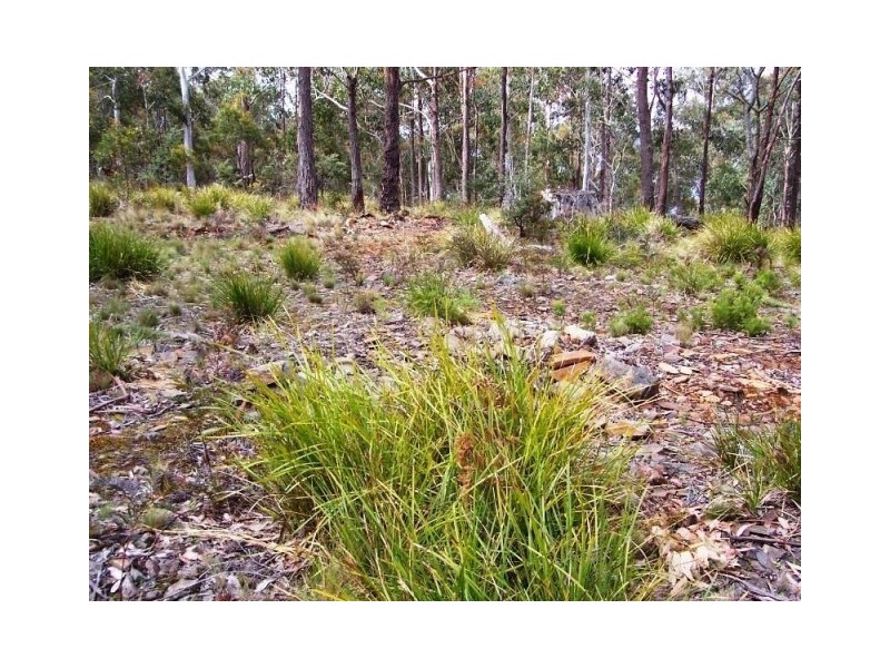 18 Little Spit Road, Lake Leake TAS 7210