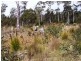 18 Little Spit Road, Lake Leake TAS 7210