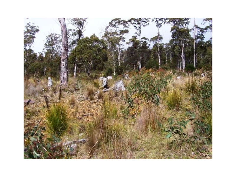 18 Little Spit Road, Lake Leake TAS 7210