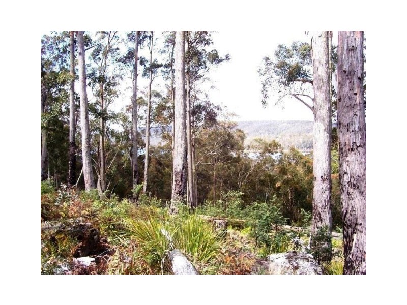 18 Little Spit Road, Lake Leake TAS 7210