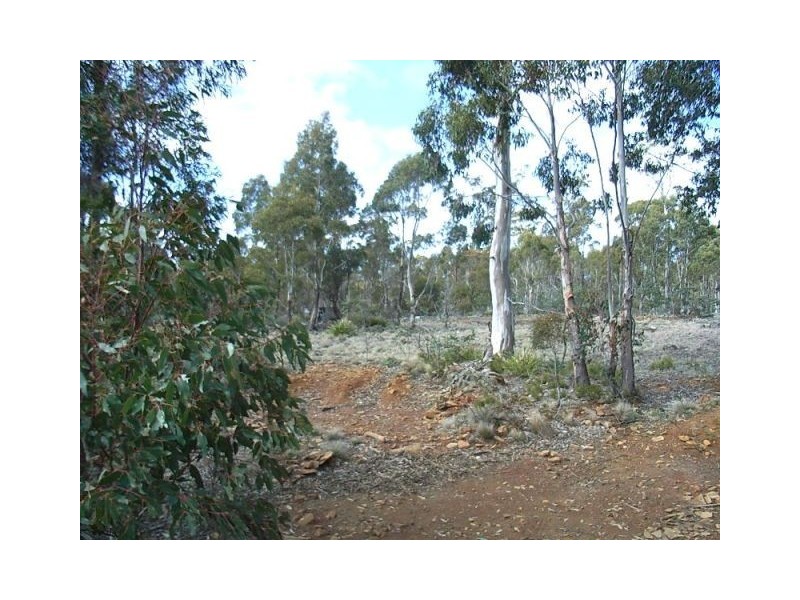 0 Un-named Road, Lake Leake TAS 7210