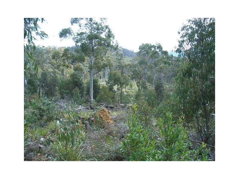 0 Un-named Road, Lake Leake TAS 7210