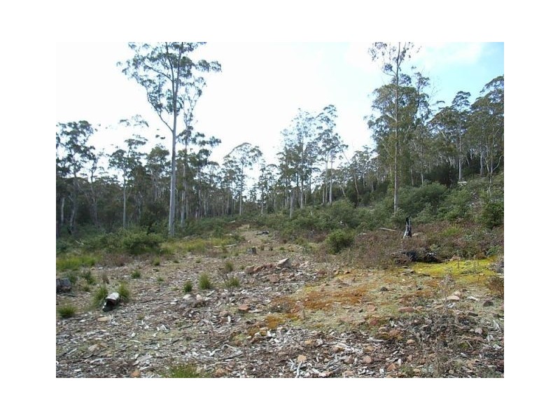 0 Un-named Road, Lake Leake TAS 7210