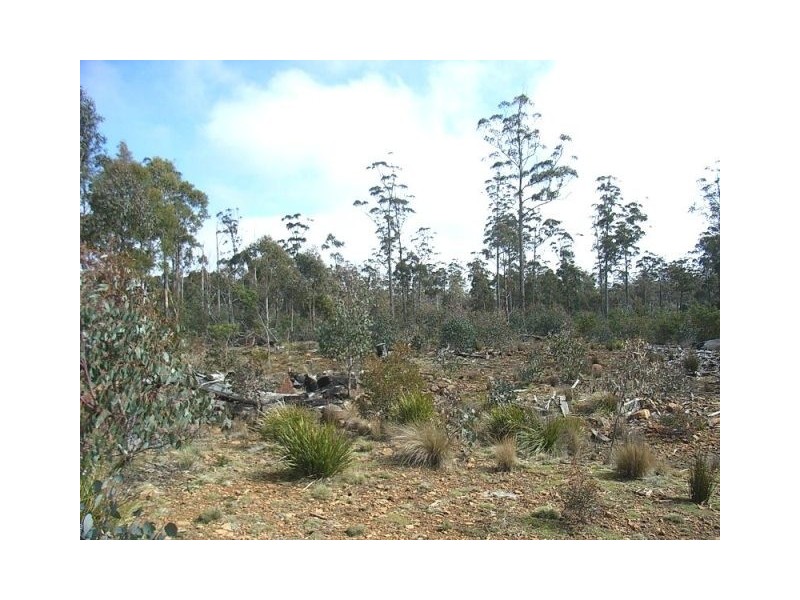 0 Un-named Road, Lake Leake TAS 7210