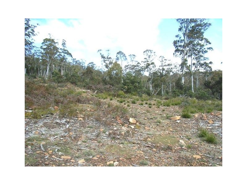 0 Un-named Road, Lake Leake TAS 7210