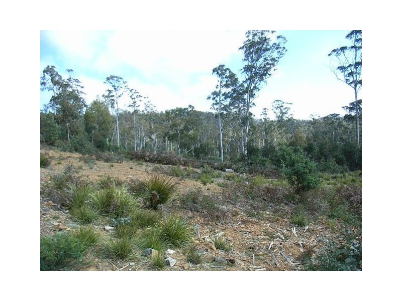 0 Un-named Road, Lake Leake TAS 7210