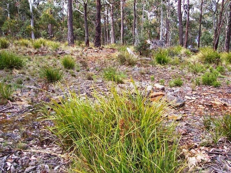 Lot 3 Little Spit Road, Lake Leake TAS 7210