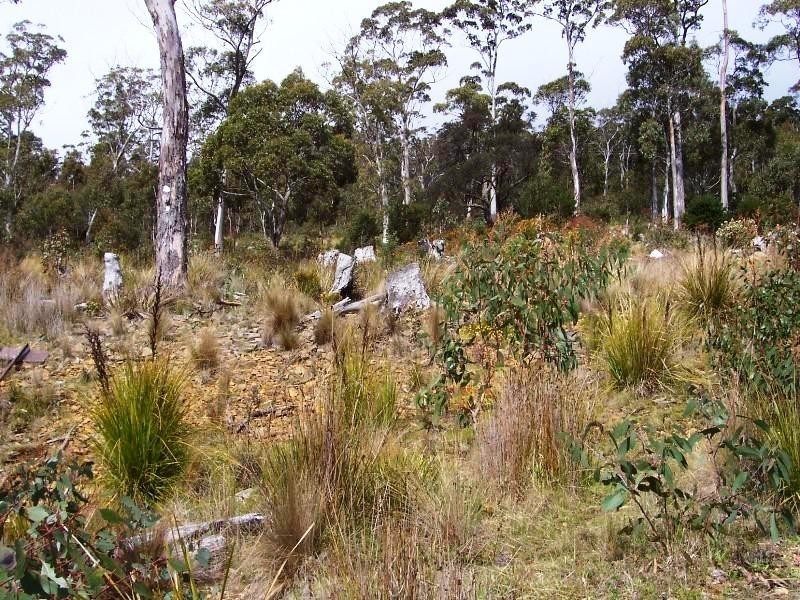 Lot 3 Little Spit Road, Lake Leake TAS 7210