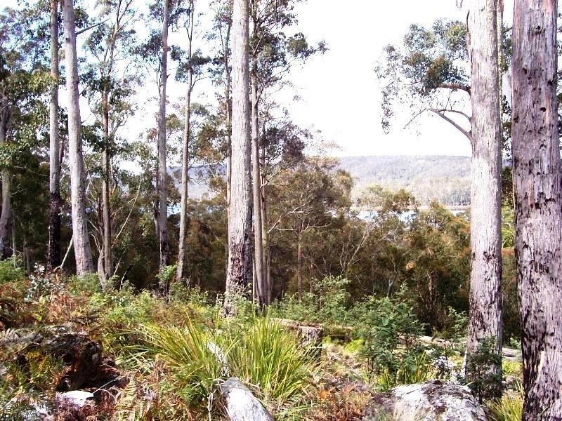 Lot 3 Little Spit Road, Lake Leake TAS 7210