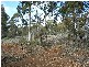 0 Unnamed Road, Lake Leake TAS 7210