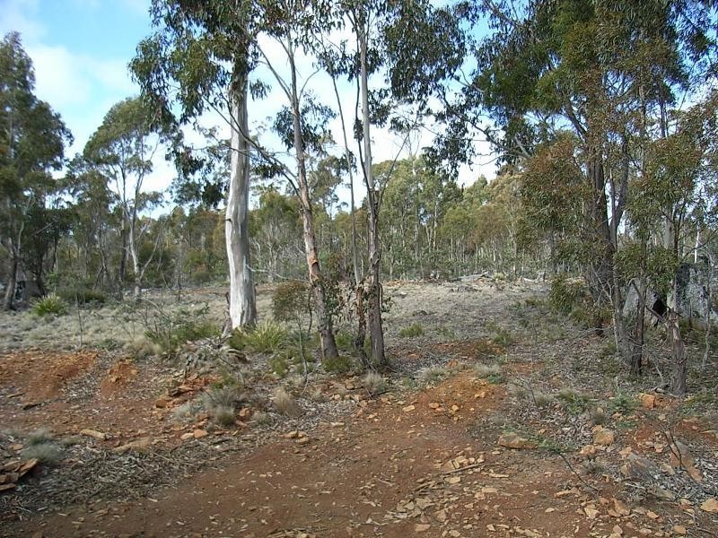 0 Unnamed Road, Lake Leake TAS 7210