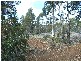 0 Unnamed Road, Lake Leake TAS 7210