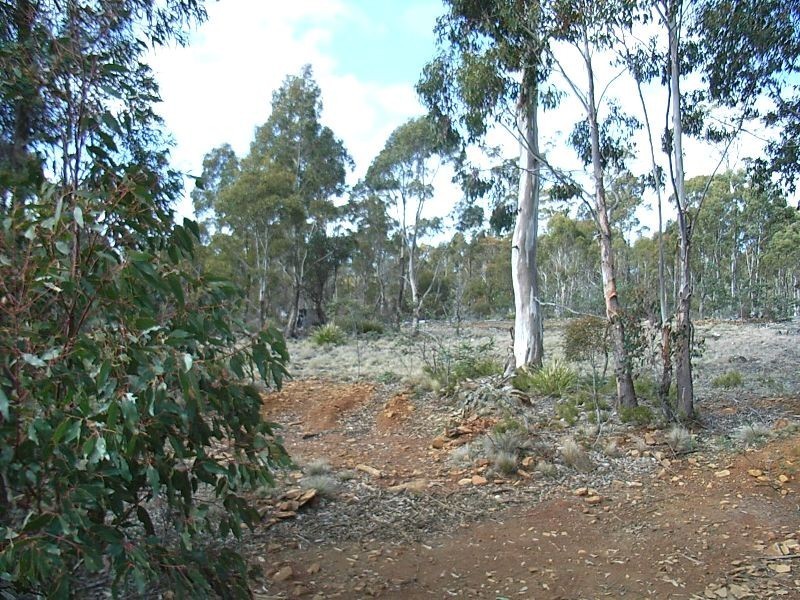 0 Unnamed Road, Lake Leake TAS 7210