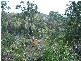 0 Unnamed Road, Lake Leake TAS 7210