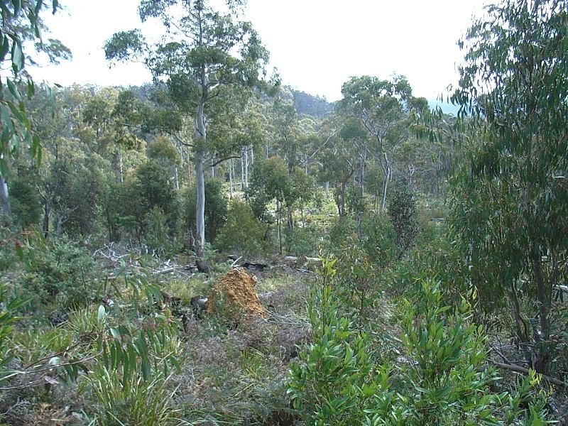0 Unnamed Road, Lake Leake TAS 7210