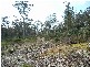 0 Unnamed Road, Lake Leake TAS 7210