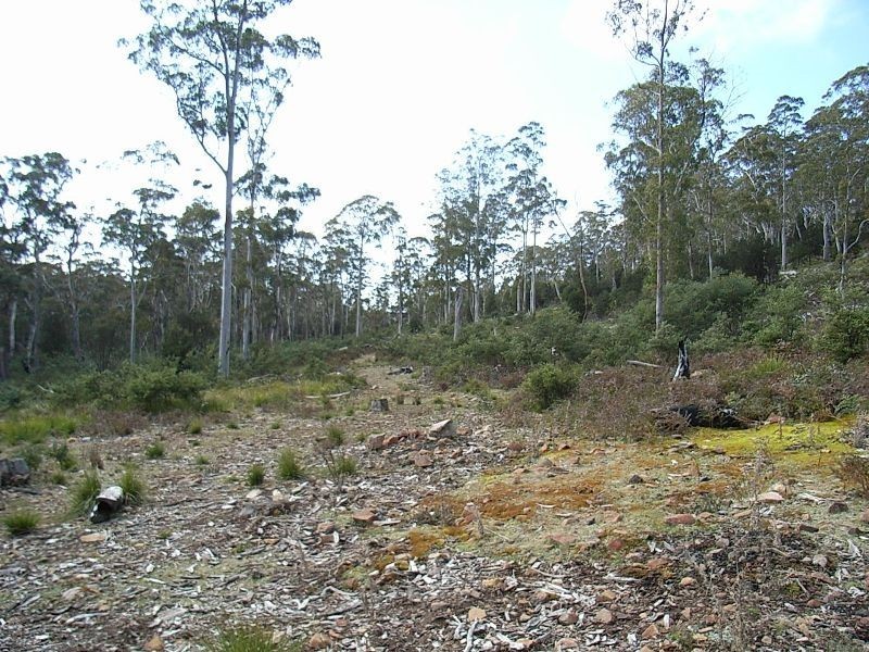 0 Unnamed Road, Lake Leake TAS 7210