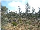 0 Unnamed Road, Lake Leake TAS 7210