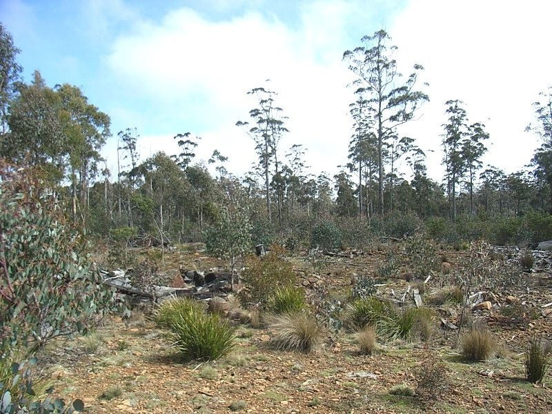 0 Unnamed Road, Lake Leake TAS 7210
