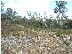 0 Unnamed Road, Lake Leake TAS 7210