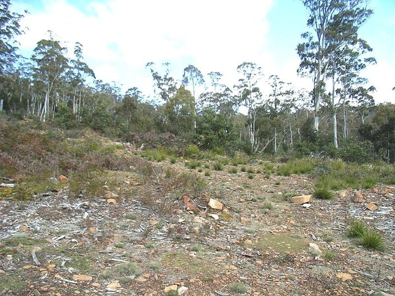 0 Unnamed Road, Lake Leake TAS 7210