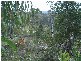 0 Unnamed Road, Lake Leake TAS 7210