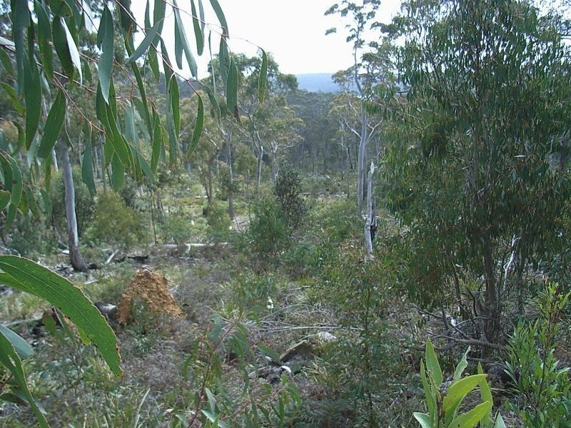 0 Unnamed Road, Lake Leake TAS 7210