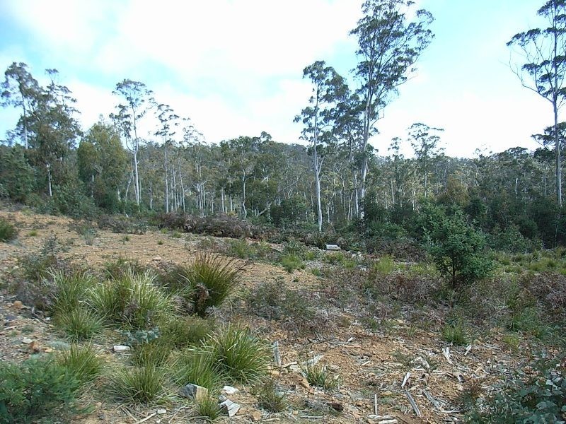 0 Unnamed Road, Lake Leake TAS 7210