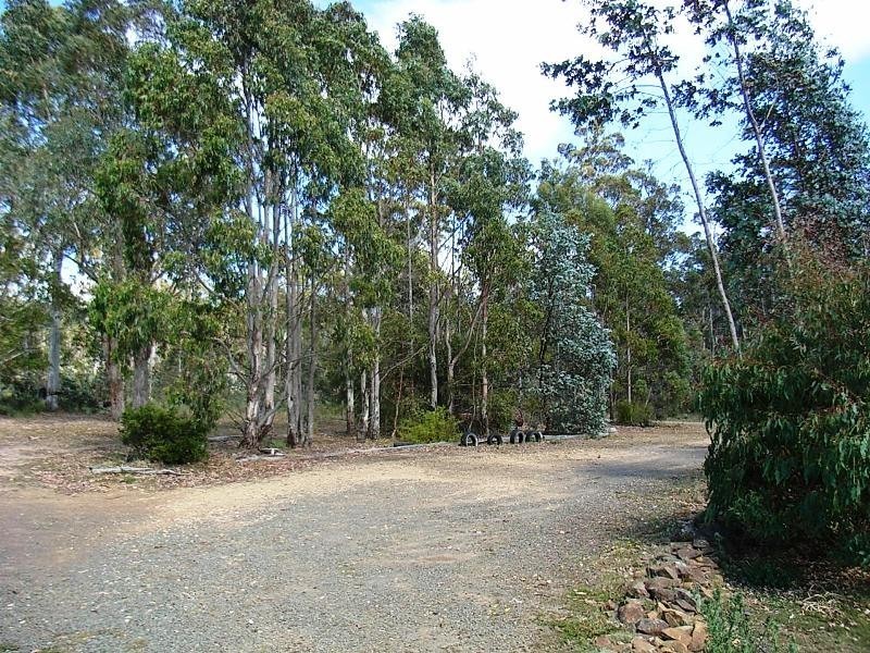 51 Lakeview Road, Lake Leake TAS 7210