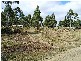 4 Brewis Place, Lake Leake TAS 7210