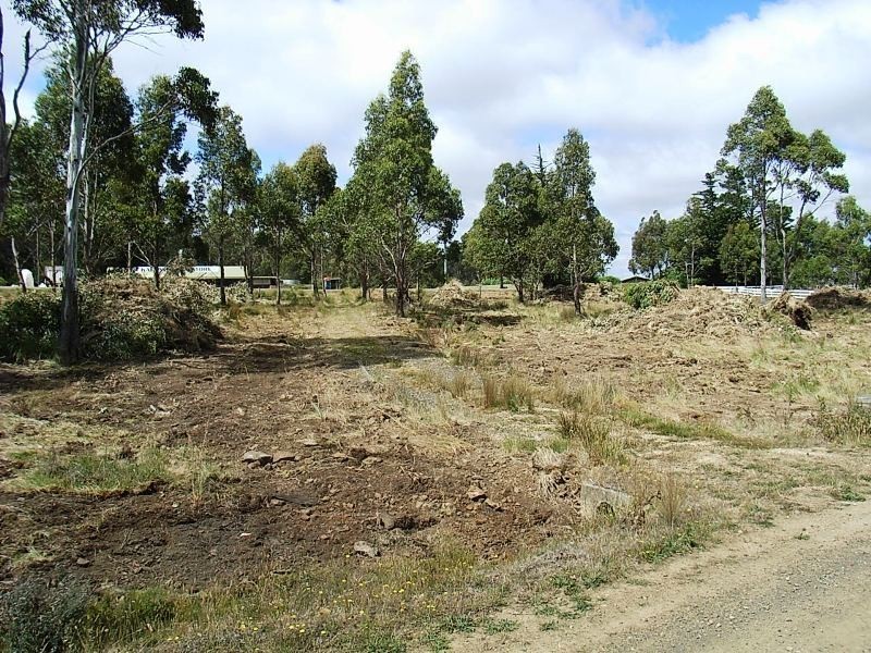 4 Brewis Place, Lake Leake TAS 7210