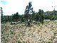 4 Brewis Place, Lake Leake TAS 7210