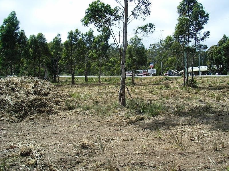 4 Brewis Place, Lake Leake TAS 7210