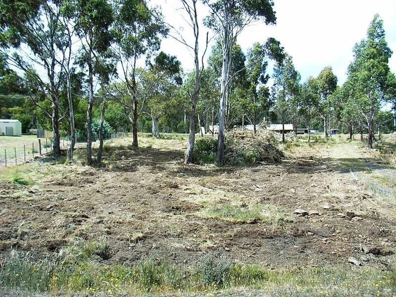 4 Brewis Place, Lake Leake TAS 7210