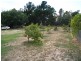 96 Conara Road, Conara TAS 7211