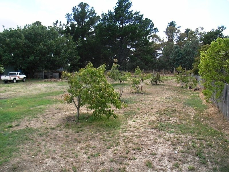 96 Conara Road, Conara TAS 7211