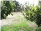 96 Conara Road, Conara TAS 7211