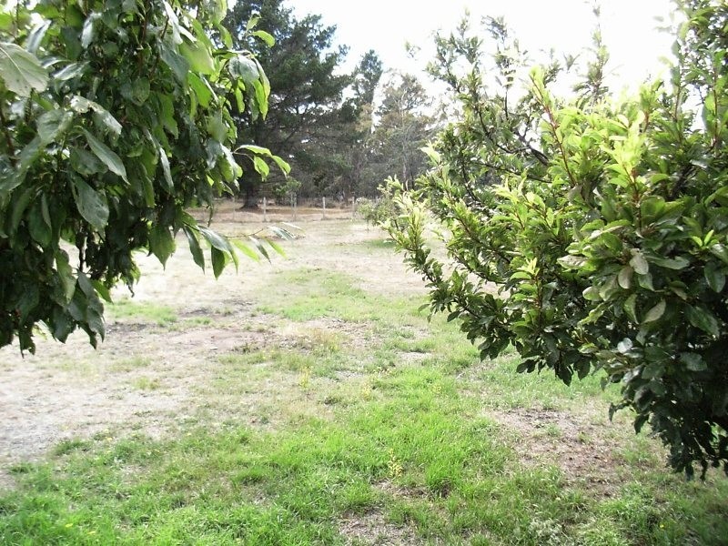 96 Conara Road, Conara TAS 7211