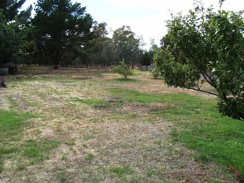96 Conara Road, Conara TAS 7211