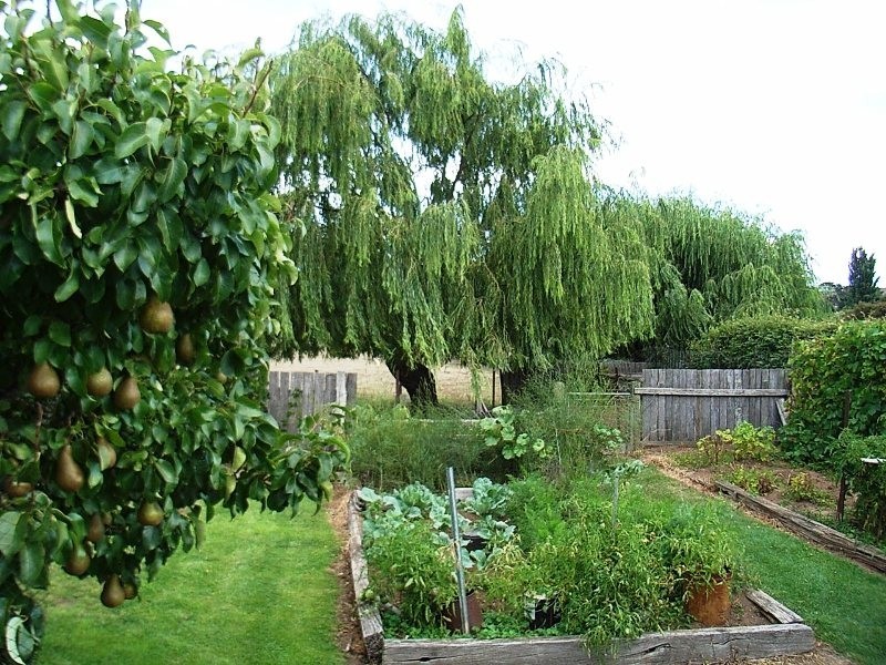 18 High Street, Ross TAS 7209