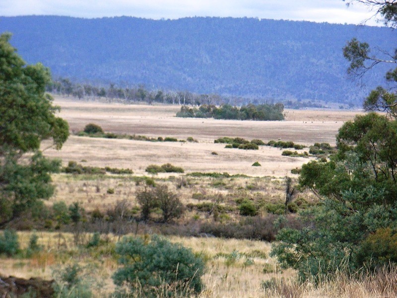 143 Royal George Road, Avoca TAS 7213