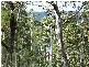 Lot 63 Lakeview Road, Lake Leake TAS 7210