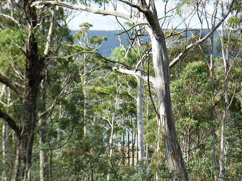 Lot 63 Lakeview Road, Lake Leake TAS 7210