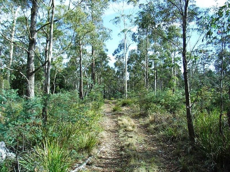 Lot 63 Lakeview Road, Lake Leake TAS 7210