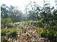 Lot 63 Lakeview Road, Lake Leake TAS 7210
