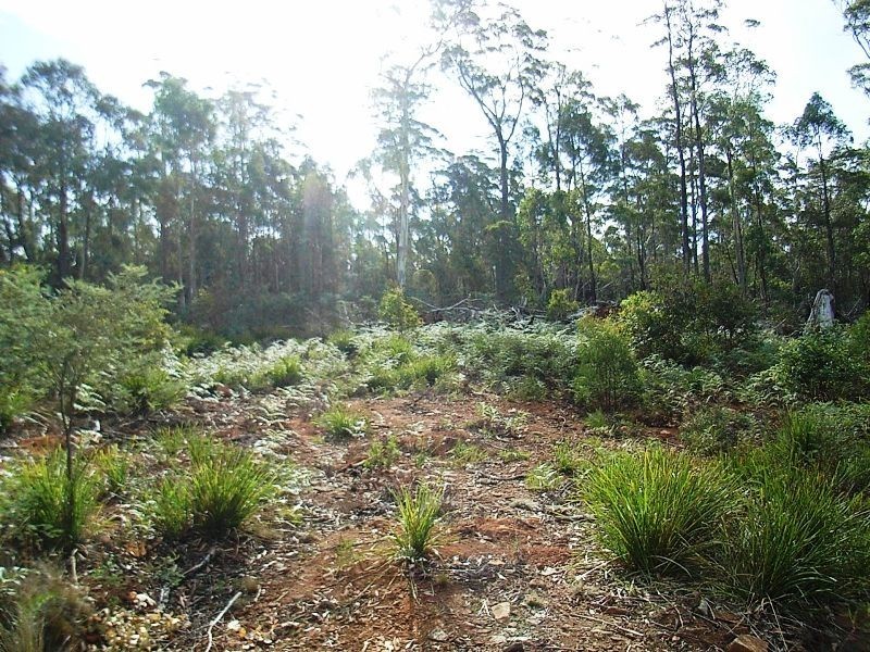 Lot 63 Lakeview Road, Lake Leake TAS 7210