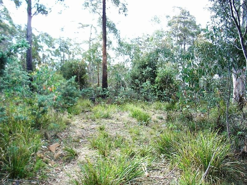 Lot 63 Lakeview Road, Lake Leake TAS 7210