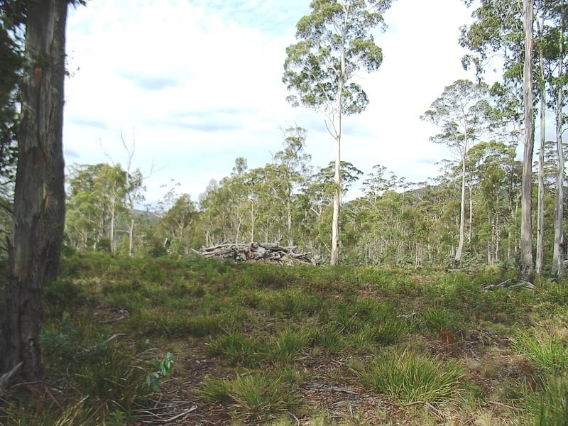 Lot 63 Lakeview Road, Lake Leake TAS 7210
