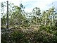 Lot 63 Lakeview Road, Lake Leake TAS 7210
