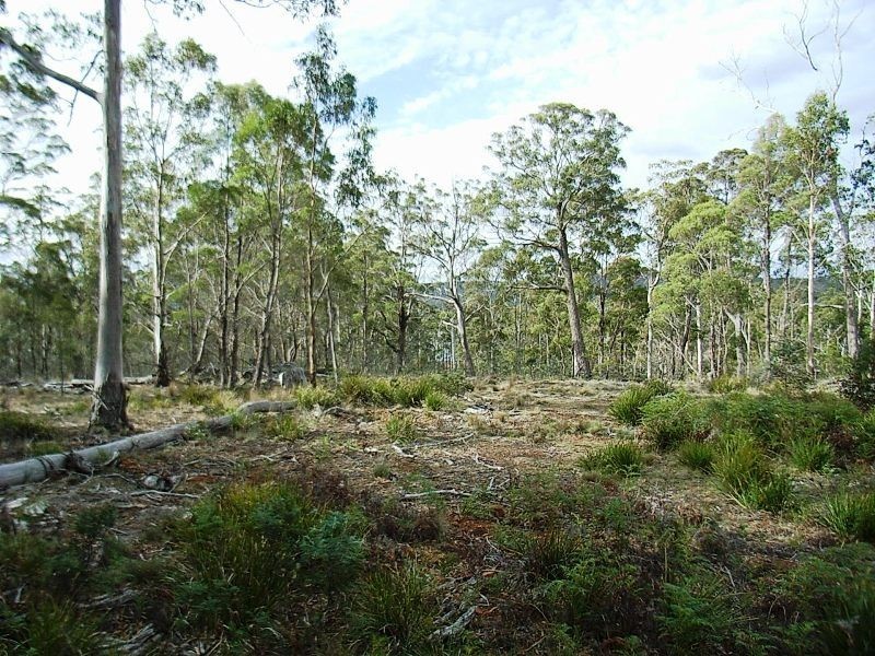 Lot 63 Lakeview Road, Lake Leake TAS 7210